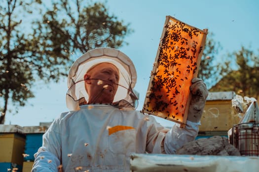 Beekeepers checking honey on the beehive frame in the field. Small business owners on apiary. Natural healthy food produceris working with bees and beehives on the apiary