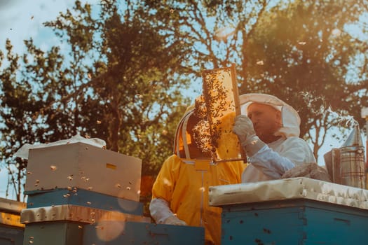 Beekeepers checking honey on the beehive frame in the field. Small business owners on apiary. Natural healthy food produceris working with bees and beehives on the apiary