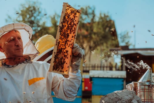 Beekeeper checking honey on the beehive frame in the field. Small business owner on apiary. Natural healthy food produceris working with bees and beehives on the apiary