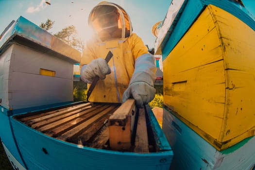 Beekeeper checking honey on the beehive frame in the field. Small business owner on apiary. Natural healthy food produceris working with bees and beehives on the apiary