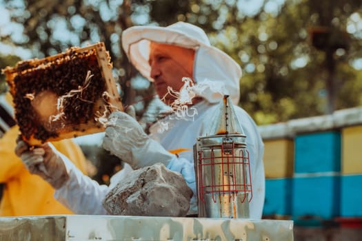 Beekeeper checking honey on the beehive frame in the field. Beekeeper on apiary. Beekeeper is working with bees and beehives on the apiary. Small business concept