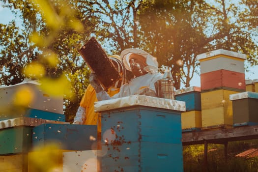 Beekeepers checking honey on the beehive frame in the field. Small business owners on apiary. Natural healthy food produceris working with bees and beehives on the apiary