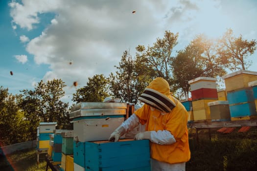 Beekeeper checking honey on the beehive frame in the field. Beekeeper on apiary. Beekeeper is working with bees and beehives on the apiary. Small business concept