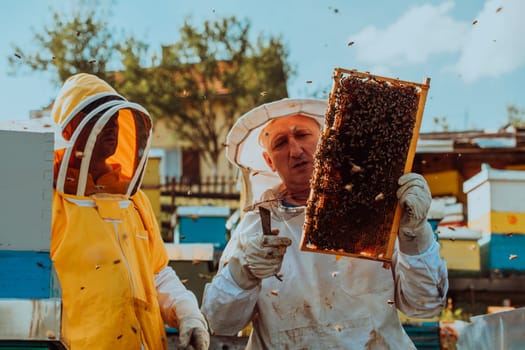 Beekeepers checking honey on the beehive frame in the field. Small business owners on apiary. Natural healthy food produceris working with bees and beehives on the apiary