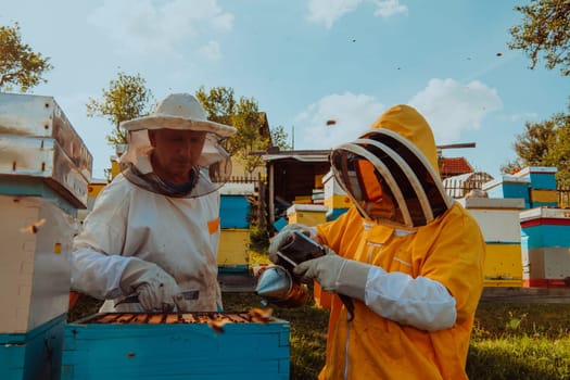 Beekeepers checking honey on the beehive frame in the field. Small business owners on apiary. Natural healthy food produceris working with bees and beehives on the apiary