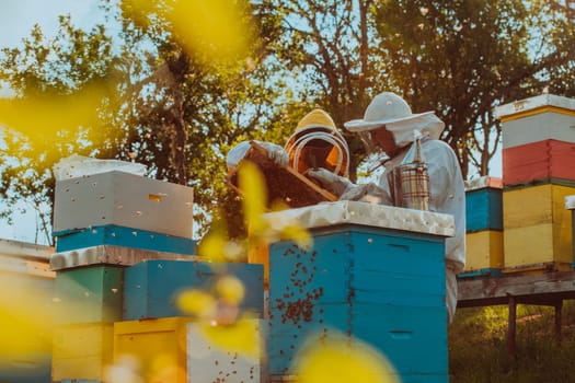 Beekeepers checking honey on the beehive frame in the field. Small business owners on apiary. Natural healthy food produceris working with bees and beehives on the apiary