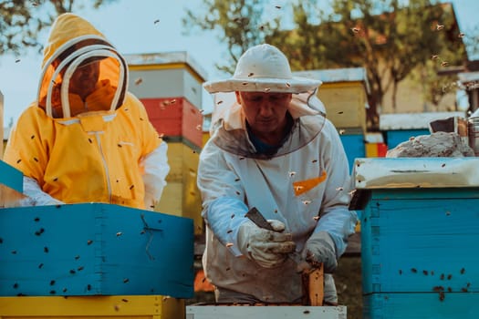 Beekeepers checking honey on the beehive frame in the field. Small business owners on apiary. Natural healthy food produceris working with bees and beehives on the apiary