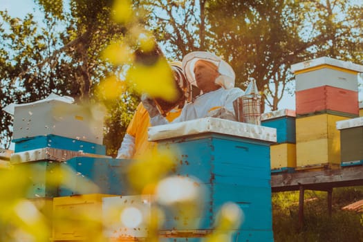 Beekeepers checking honey on the beehive frame in the field. Small business owners on apiary. Natural healthy food produceris working with bees and beehives on the apiary