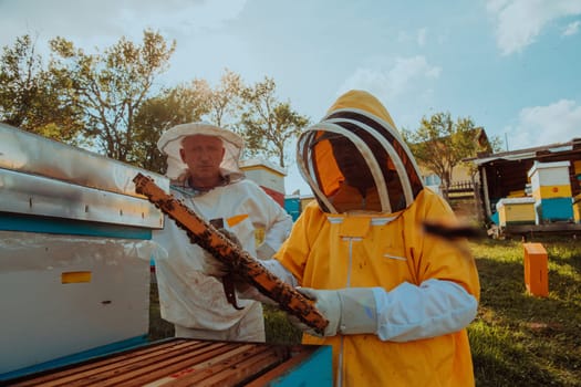 Beekeepers checking honey on the beehive frame in the field. Small business owners on apiary. Natural healthy food produceris working with bees and beehives on the apiary