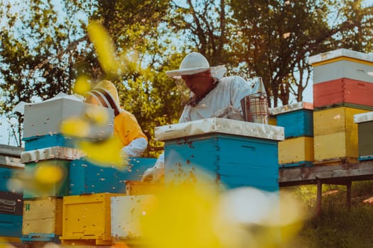 Beekeepers checking honey on the beehive frame in the field. Small business owners on apiary. Natural healthy food produceris working with bees and beehives on the apiary