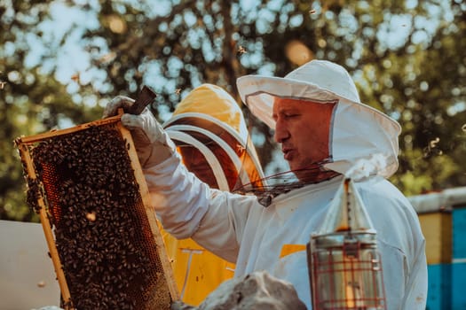 Beekeepers checking honey on the beehive frame in the field. Small business owners on apiary. Natural healthy food produceris working with bees and beehives on the apiary