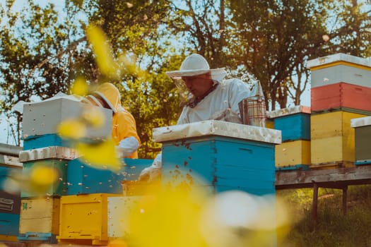 Beekeepers checking honey on the beehive frame in the field. Small business owners on apiary. Natural healthy food produceris working with bees and beehives on the apiary