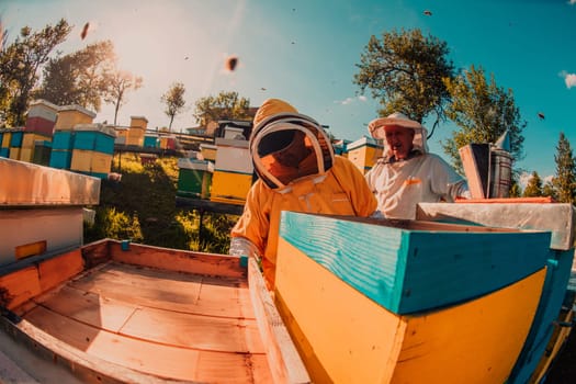 Beekeeper checking honey on the beehive frame in the field. Small business owner on apiary. Natural healthy food produceris working with bees and beehives on the apiary