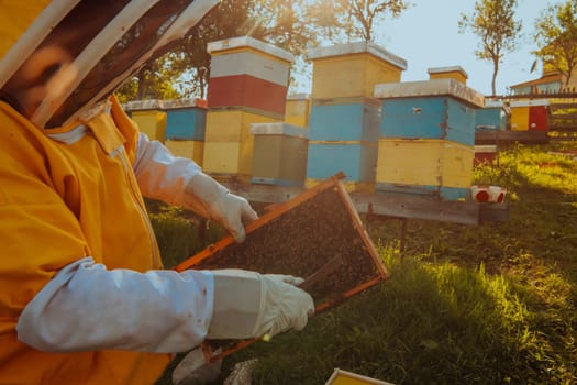 Beekeeper checking honey on the beehive frame in the field. Small business owner on apiary. Natural healthy food produceris working with bees and beehives on the apiary