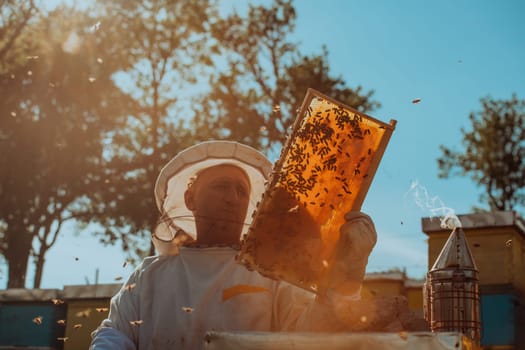 Beekeeper checking honey on the beehive frame in the field. Small business owner on apiary. Natural healthy food produceris working with bees and beehives on the apiary