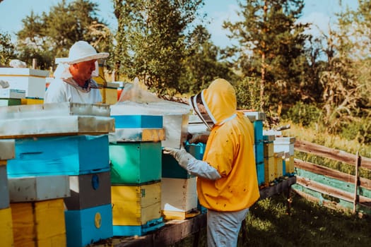 Beekeepers checking honey on the beehive frame in the field. Small business owners on apiary. Natural healthy food produceris working with bees and beehives on the apiary