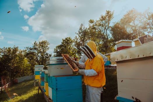 Beekeeper checking honey on the beehive frame in the field. Beekeeper on apiary. Beekeeper is working with bees and beehives on the apiary. Small business concept