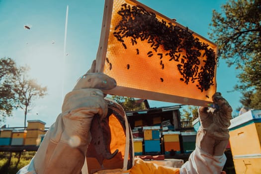 Wide shot of a beekeeper holding the beehive frame filled with honey against the sunlight in the field full of flowers.