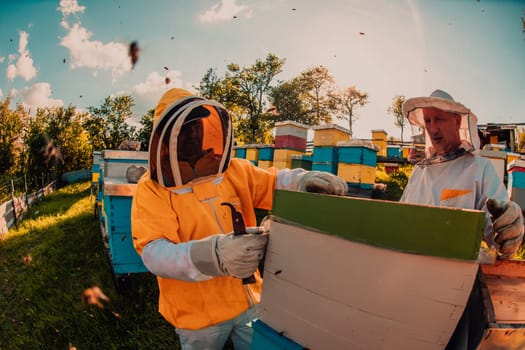 Beekeeper checking honey on the beehive frame in the field. Small business owner on apiary. Natural healthy food produceris working with bees and beehives on the apiary