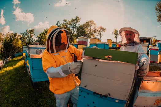 Beekeeper checking honey on the beehive frame in the field. Small business owner on apiary. Natural healthy food produceris working with bees and beehives on the apiary