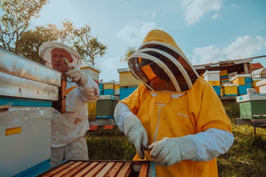 Beekeepers checking honey on the beehive frame in the field. Small business owners on apiary. Natural healthy food produceris working with bees and beehives on the apiary