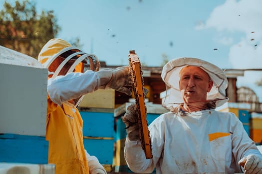 Beekeepers checking honey on the beehive frame in the field. Small business owners on apiary. Natural healthy food produceris working with bees and beehives on the apiary