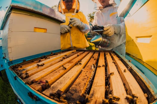 Beekeeper checking honey on the beehive frame in the field. Small business owner on apiary. Natural healthy food produceris working with bees and beehives on the apiary