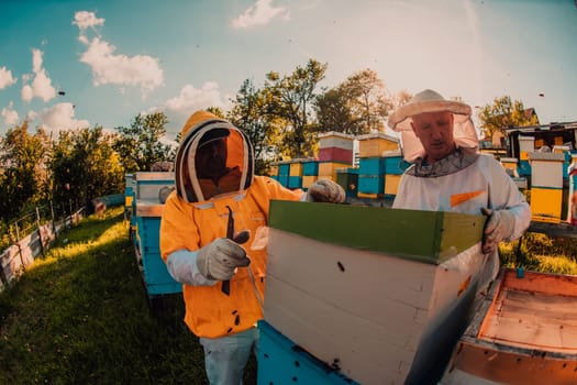 Beekeeper checking honey on the beehive frame in the field. Small business owner on apiary. Natural healthy food produceris working with bees and beehives on the apiary