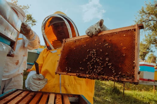 Beekeeper checking honey on the beehive frame in the field. Beekeeper on apiary. Beekeeper is working with bees and beehives on the apiary. Small business concept