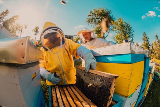 Beekeeper checking honey on the beehive frame in the field. Small business owner on apiary. Natural healthy food produceris working with bees and beehives on the apiary