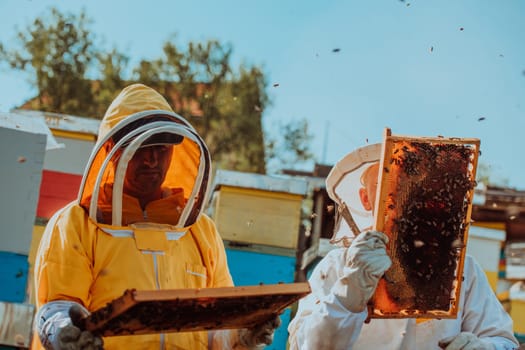 Beekeepers checking honey on the beehive frame in the field. Small business owners on apiary. Natural healthy food produceris working with bees and beehives on the apiary