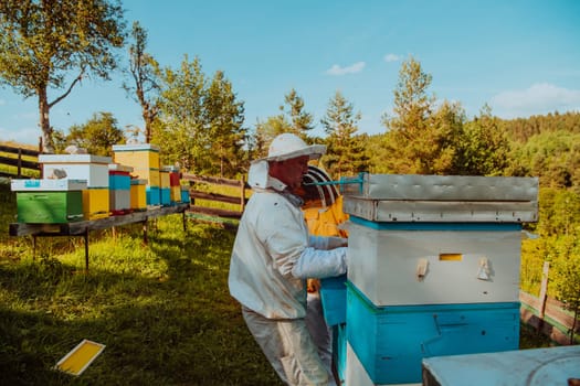 Beekeepers checking honey on the beehive frame in the field. Small business owners on apiary. Natural healthy food produceris working with bees and beehives on the apiary