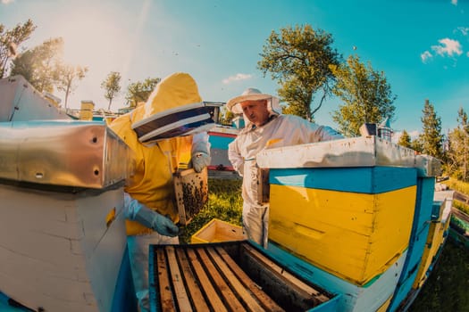 Beekeeper checking honey on the beehive frame in the field. Small business owner on apiary. Natural healthy food produceris working with bees and beehives on the apiary