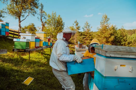 Beekeepers checking honey on the beehive frame in the field. Small business owners on apiary. Natural healthy food produceris working with bees and beehives on the apiary