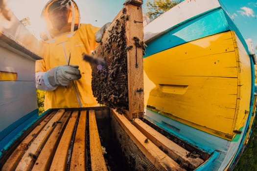 Beekeeper checking honey on the beehive frame in the field. Small business owner on apiary. Natural healthy food produceris working with bees and beehives on the apiary