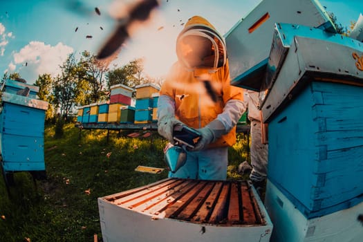 Beekeeper checking honey on the beehive frame in the field. Small business owner on apiary. Natural healthy food produceris working with bees and beehives on the apiary