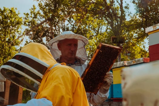 Beekeepers checking honey on the beehive frame in the field. Small business owners on apiary. Natural healthy food produceris working with bees and beehives on the apiary