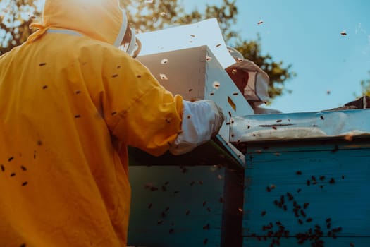 Beekeepers checking honey on the beehive frame in the field. Small business owners on apiary. Natural healthy food produceris working with bees and beehives on the apiary