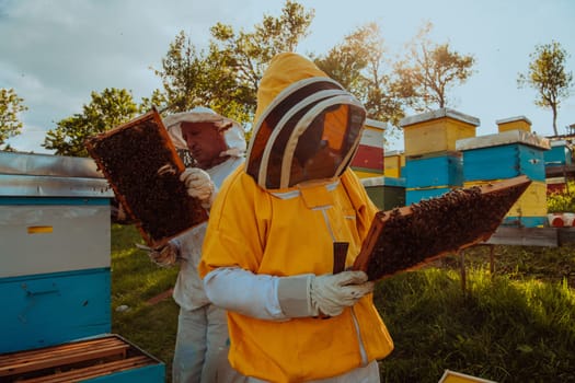 Beekeepers checking honey on the beehive frame in the field. Small business owners on apiary. Natural healthy food produceris working with bees and beehives on the apiary