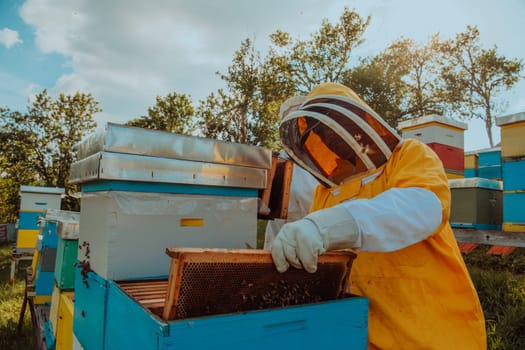 Beekeeper checking honey on the beehive frame in the field. Small business owner on apiary. Natural healthy food produceris working with bees and beehives on the apiary