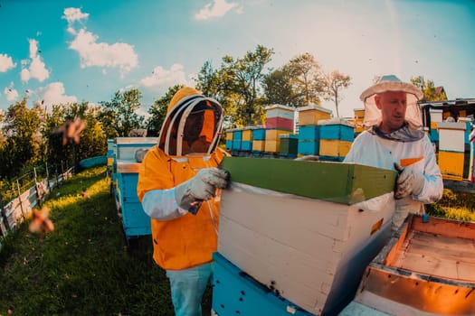 Beekeeper checking honey on the beehive frame in the field. Small business owner on apiary. Natural healthy food produceris working with bees and beehives on the apiary