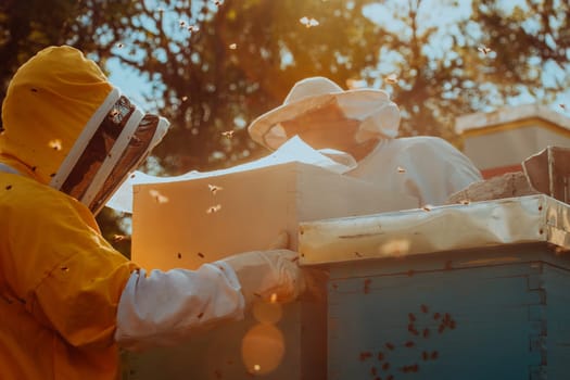 Beekeepers checking honey on the beehive frame in the field. Small business owners on apiary. Natural healthy food produceris working with bees and beehives on the apiary