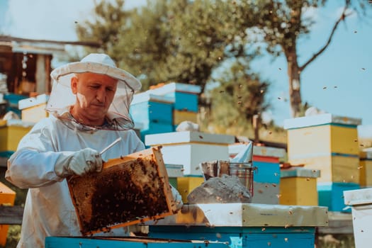 Beekeeper checking honey on the beehive frame in the field. Small business owner on apiary. Natural healthy food produceris working with bees and beehives on the apiary