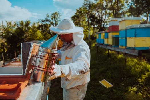The beekeeper using smoke to calm the bees and begins to inspect the honey.