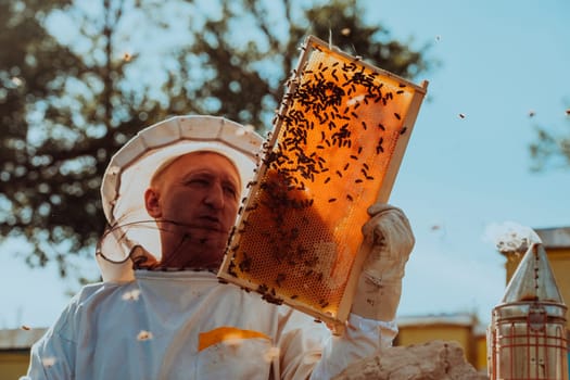 Beekeeper checking honey on the beehive frame in the field. Small business owner on apiary. Natural healthy food produceris working with bees and beehives on the apiary