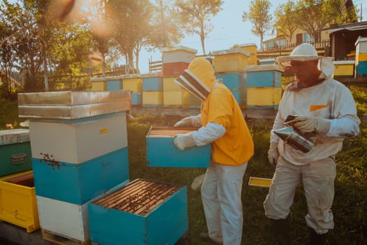 Beekeepers checking honey on the beehive frame in the field. Small business owners on apiary. Natural healthy food produceris working with bees and beehives on the apiary