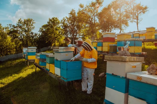 Beekeepers checking honey on the beehive frame in the field. Small business owners on apiary. Natural healthy food produceris working with bees and beehives on the apiary