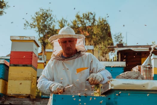 Beekeeper checking honey on the beehive frame in the field. Beekeeper on apiary. Beekeeper is working with bees and beehives on the apiary. Small business concept