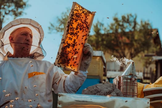 Beekeepers checking honey on the beehive frame in the field. Small business owners on apiary. Natural healthy food produceris working with bees and beehives on the apiary