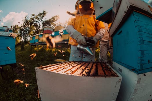 Beekeeper checking honey on the beehive frame in the field. Small business owner on apiary. Natural healthy food produceris working with bees and beehives on the apiary